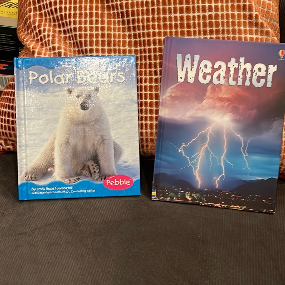 Children’s books. Lots of them.all perfect many ‘Scholastic’ you pick